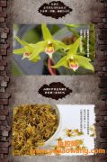 石斛的功效与作用(石斛的功效与作用多少钱一斤)