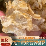 深海鱼花胶是什么(官栈花胶是什么胶做的)