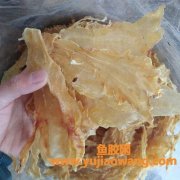 深海花胶是什么东西(深海鳕鱼花胶是什么)