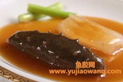 海参花胶是什么(海参花胶配什么炖汤最好)