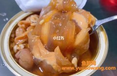 即食花胶的食用方法(花胶治胃病的食用方法)