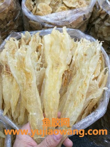 花胶肚都有那些种类