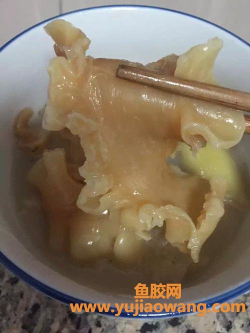 花胶肚是什么鱼(白玉花胶是什么鱼)