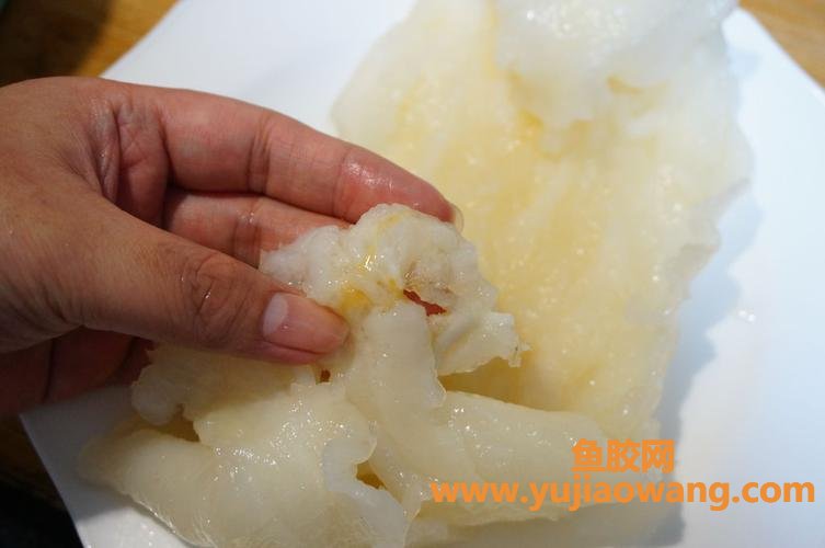 花胶的泡发方法时间(花胶发制方法) 花胶的泡发方法时间(花胶发制方法)