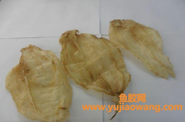 麻鱼胶多少钱一斤(鱼胶卖多少钱一斤)