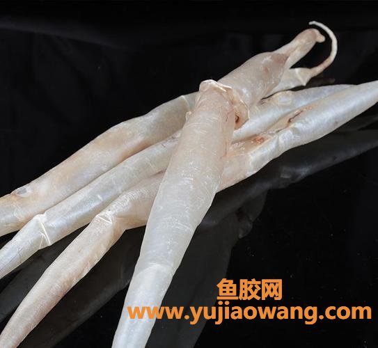 鳗鱼胶多少一斤(鳗鱼胶多少钱一斤)