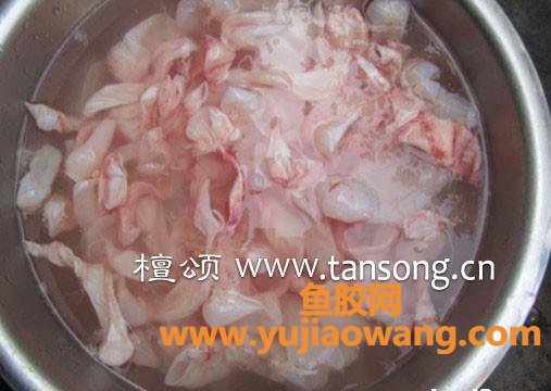 鱼鳔胶的做法视频(鱼鳔胶的吃法和做法)