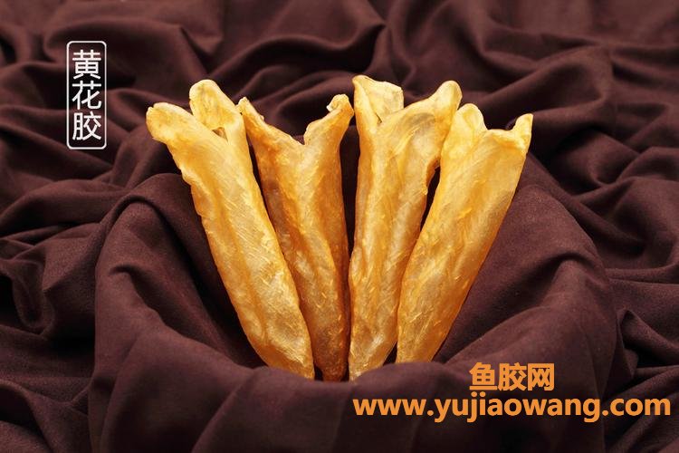 鱼胶平台买卖