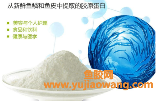 鱼胶对甲状腺结节的作用(鱼胶有激素吗我有甲状腺结节)