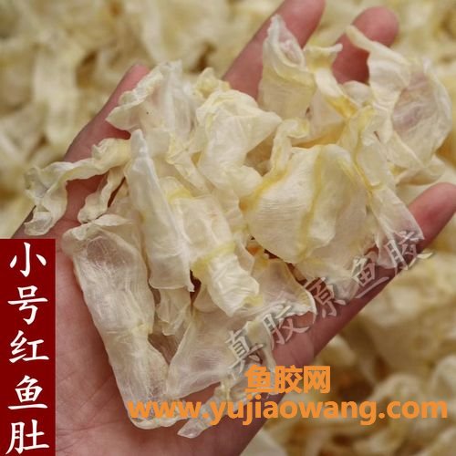 鱼胶冻吃了有什么好处