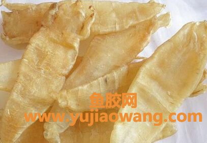 花胶的价格一般多少钱一斤1001无标题(花胶价格大概多少钱一斤)