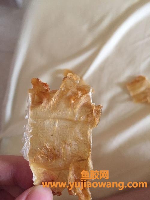花胶的价格一般多少钱一克