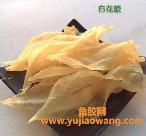 花胶的价格一般多少钱(花胶的价格一般多少钱一斤在青岛什么地方有卖
