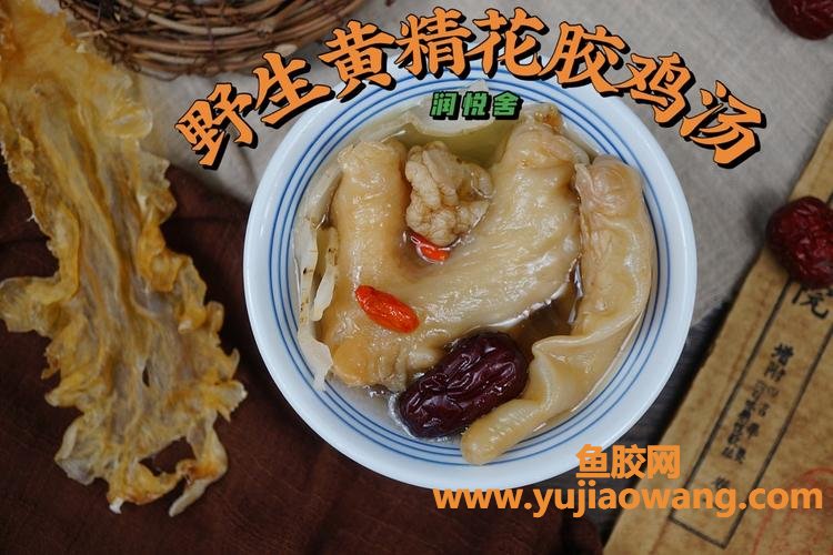 花胶煲鸡汤的做法窍门(黄金花胶鸡汤的做法窍门)