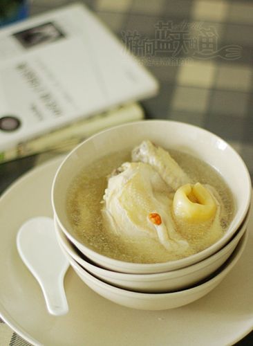 花胶煲鸡属于寒性还是热性