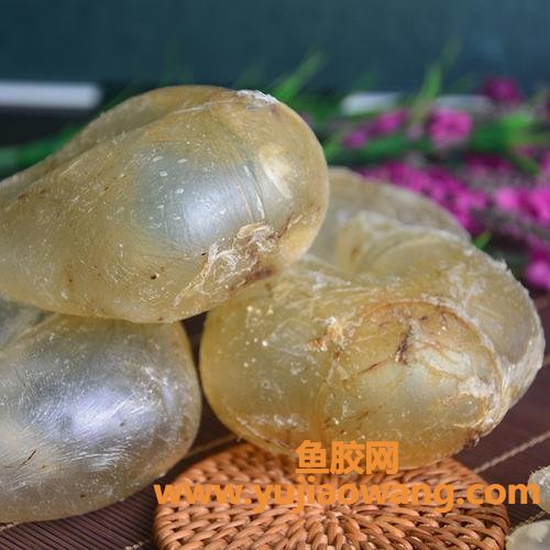 石肚鱼胶是什么鱼种(鸡蛋胶是什么鱼种)