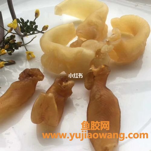 石肚公鱼胶市价多少(巴基斯坦石肚公鱼胶)