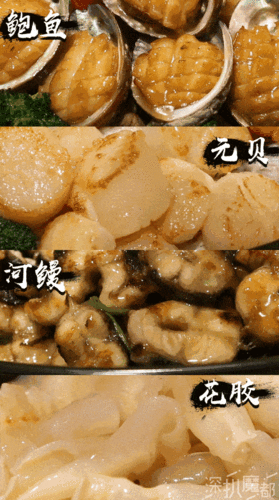白鳗胶功效(白鳗鱼胶的功效)