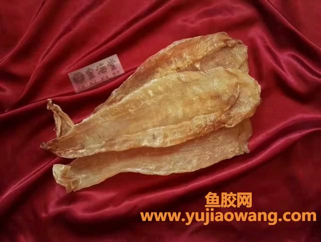 白花胶真假怎么判断(印尼白花胶真假)