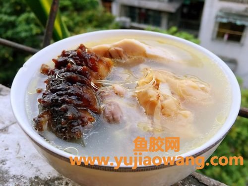 海参花胶煲鸡汤的做法窍门(花胶瑶柱海参煲鸡汤的做法)