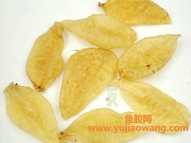 小孩12岁一般一天吃多少克鱼胶