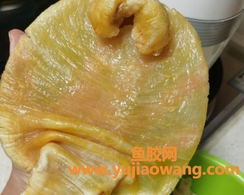 大口赤嘴鳘鱼胶的做法(大口赤嘴鱼胶好不好)