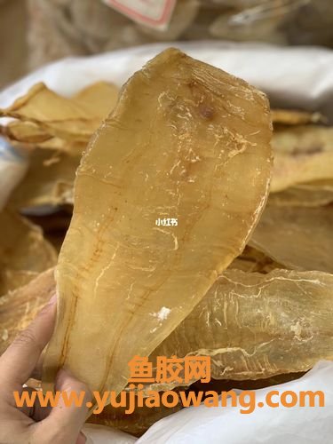 咳嗽有痰能不能吃鱼胶(咳嗽有痰能不能吃鱼胶煮甜)