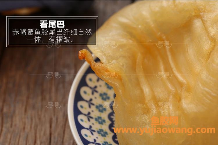 六耳赤嘴鱼胶产地(大耳赤嘴鱼胶的产地)