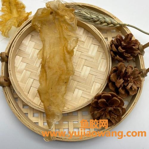 佛跳墙用的花胶肚(佛跳墙和花胶鸡的区别)