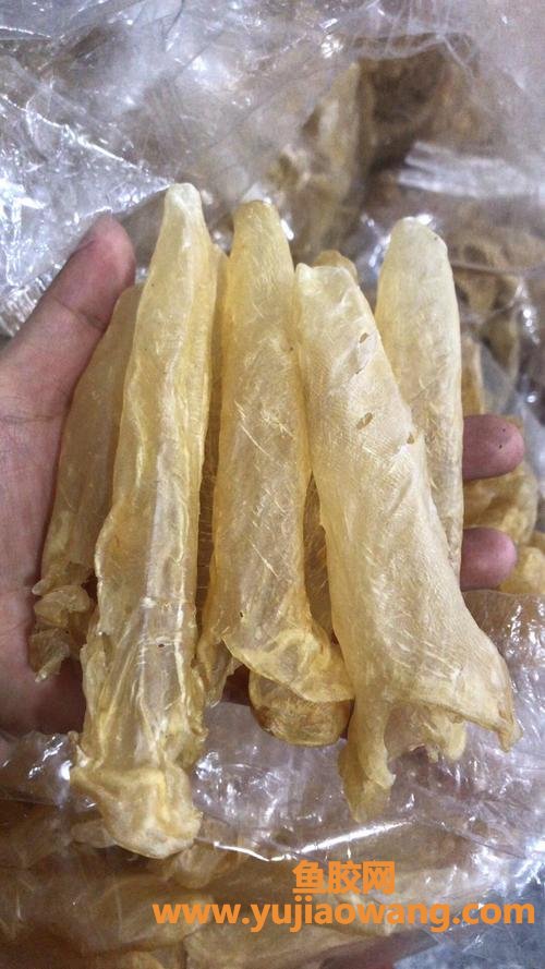乳腺炎可以吃花胶吗(乳腺炎可以吃花胶吗)
