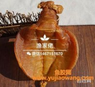 赤鱼胶多少钱一斤(金钱鱼胶多少钱一斤)