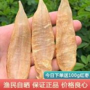 豆仁胶和小金龙鱼胶一样吗