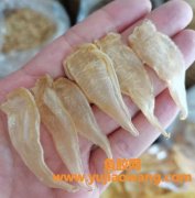 豆仁胶600元一斤贵吗