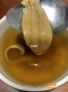 蜘蛛胶治咳嗽的功效(蜘蛛胶和什么一起炖治咳嗽)