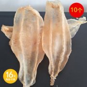 花胶肚和鱼肚的区别(普通的鱼肚和花胶的区别)
