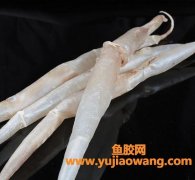 鳗鱼胶多少一斤(鳗鱼胶多少钱一斤)