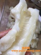 鲜鳗鱼胶的做法(干鳗鱼胶的做法大全)