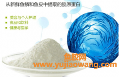 鱼胶对甲状腺结节的作用(鱼胶有激素吗我有甲状腺结节)