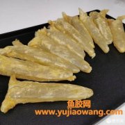 花胶的价格一般多少钱一斤背胶(花胶价格大概多少钱一斤)