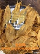 花胶的价格(最贵的鱼胶多少钱一斤)
