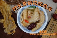 花胶煲鸡汤的做法窍门(黄金花胶鸡汤的做法窍门)