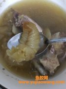 花胶煲鸡汤图片(花胶鸡汤火锅图片)
