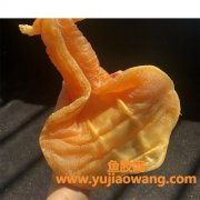 老石肚鱼胶图片(石肚鱼胶简介)