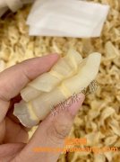 红鱼肚胶的功效和作用(红鱼的营养价值及功效与作用)