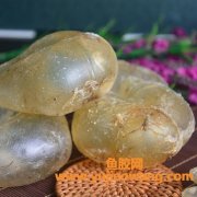 石肚鱼胶是什么鱼种(鸡蛋胶是什么鱼种)