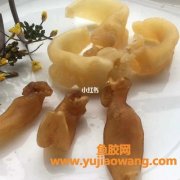 石肚公鱼胶市价多少(巴基斯坦石肚公鱼胶)