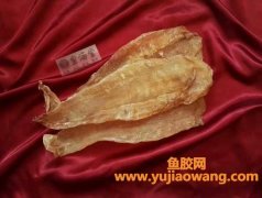 白花胶真假怎么判断(印尼白花胶真假)