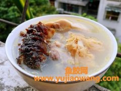 海参花胶煲鸡汤的做法窍门(花胶瑶柱海参煲鸡汤的做法)