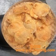 桥本甲状腺炎能吃花胶吗(桥本甲状腺炎可以吃碘盐吗)