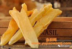 桥本甲状腺炎可以吃鱼胶吗